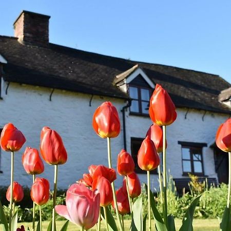 Glencoed B&B Wrexham Extérieur photo