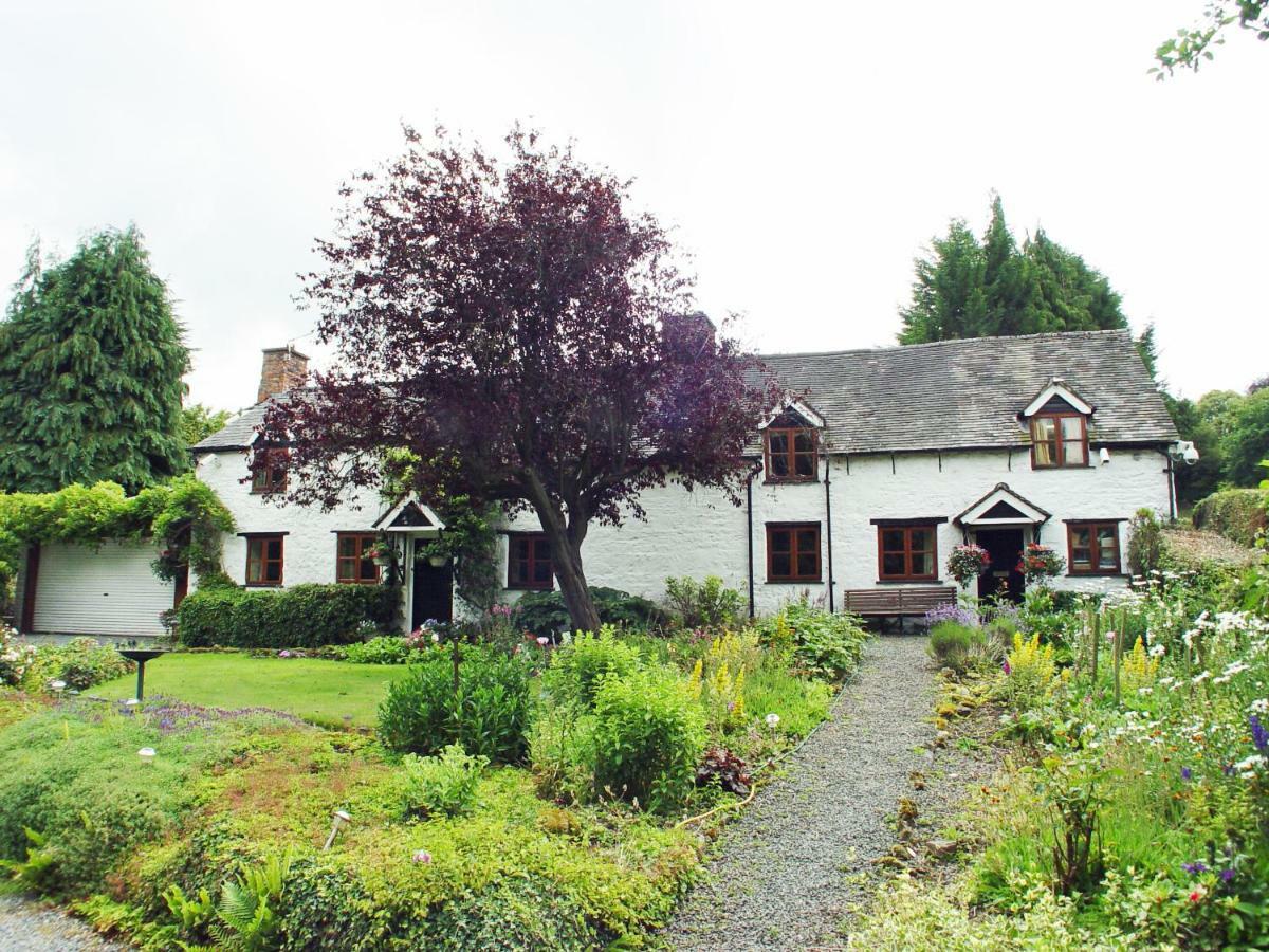Glencoed B&B Wrexham Extérieur photo