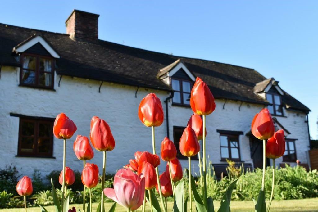 Glencoed B&B Wrexham Extérieur photo